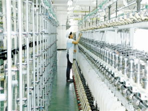 慈溪8718經(jīng)緯線業(yè) 特種紗線國產(chǎn)替代的技術(shù)開發(fā)與推廣