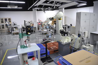 助推鳳崗鎮(zhèn)創(chuàng)客教育優(yōu)質(zhì)發(fā)展 機(jī)器人應(yīng)用技術(shù)推廣服務(wù)中心正式運(yùn)營(yíng)